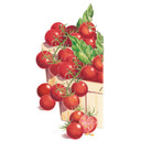 Illustration of small round red cherry tomatoes still on the vine, overflowing a wooden pint basket with green leaves, alongside one tomato sliced open to reveal seeds.