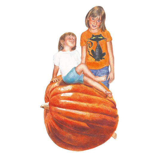 Illustration of an enormous ribbed orange Big Max pumpkin large enough for a young child to sit on top while an older child stands beside it, both smiling, against a plain white background.