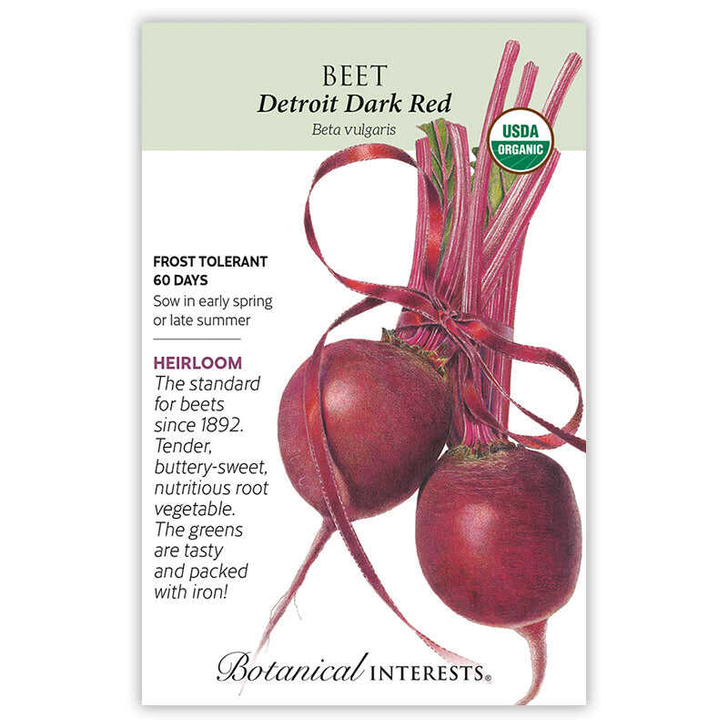 Beet seed packet with illustration of beets and botanical information about the variety 'Detroit Dark Red'.