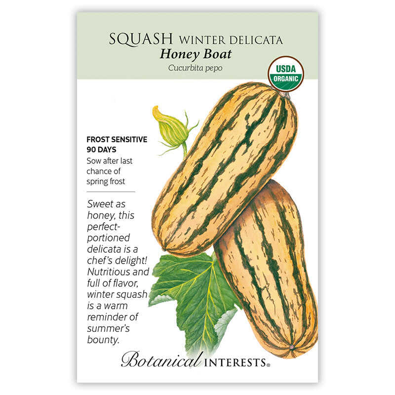 Squash winter delicata seed packet with botanical illustration and botanical information