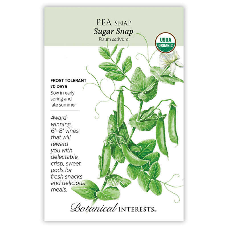 Front of an organic Botanical Interests seed packet for Sugar Snap Snap Pea Seeds displaying a USDA Organic seal, heirloom description, and a botanical illustration of green pea vines with hanging pods and small white blossoms.