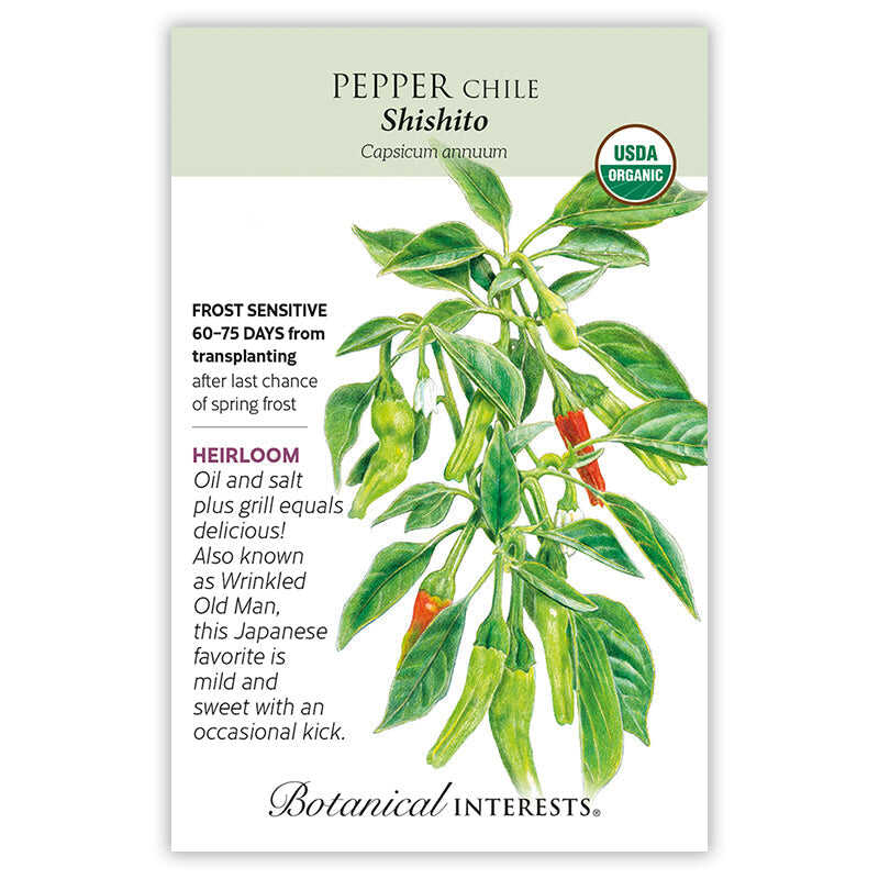 Seed packet for Shishito Chile Pepper featuring a botanical illustration of a leafy plant with clusters of slender green pods, some ripening to red, alongside white blossoms; text notes it's an heirloom, USDA Organic, frost sensitive, 60-75 days from transplanting, and describes it as a mild, sweet Japanese favorite great for grilling.