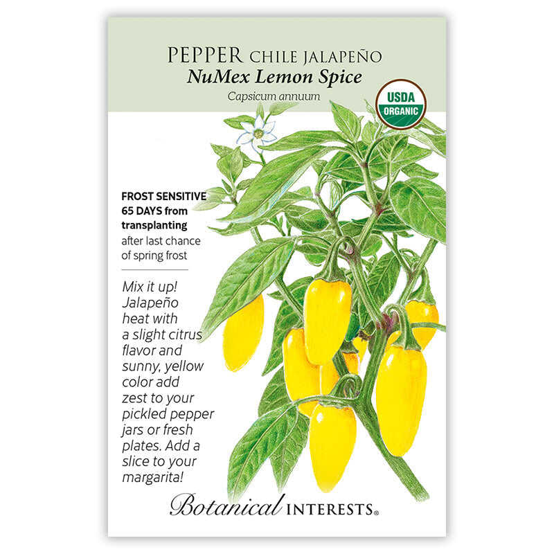 Seed packet for Pepper Chile Jalapeno NuMex Lemon Spice with illustrations and botanical information.