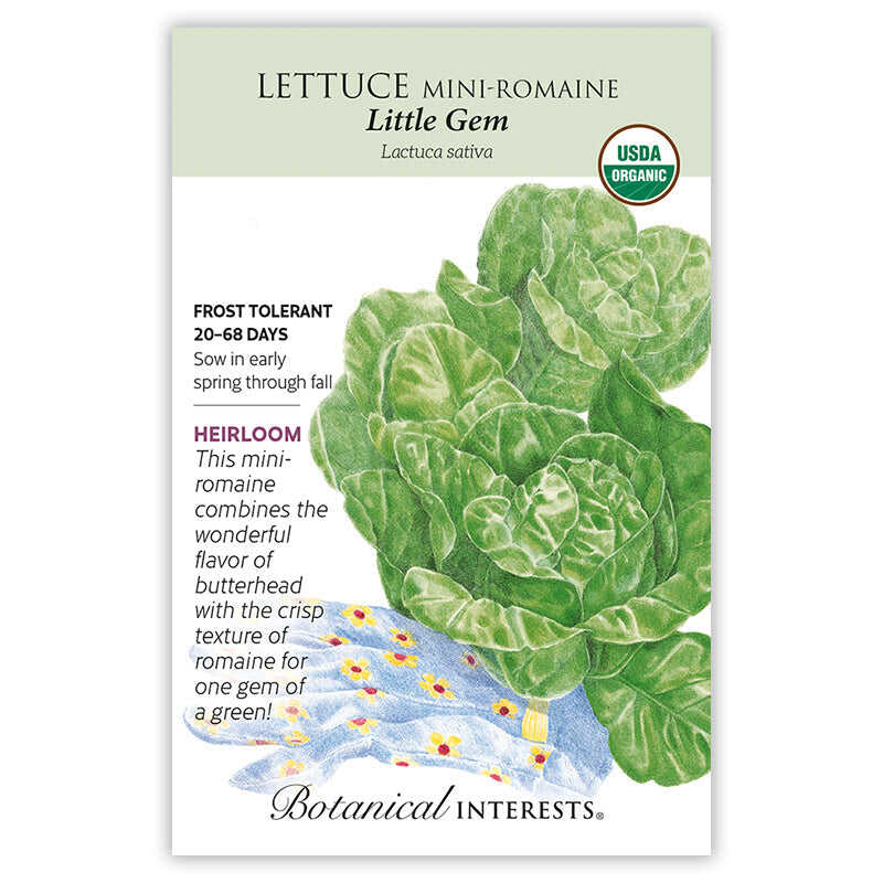Seed packet for Lettuce Mini-Romaine Little Gem with botanical illustration and information.