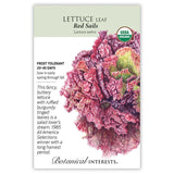 Seed packet for 'Red Sails' Lettuce Leaf  with a colorful leaf illustration and botanical information on a white background.