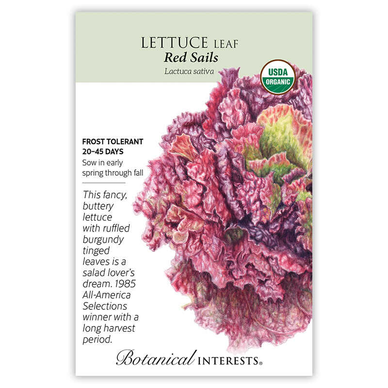 Seed packet for 'Red Sails' Lettuce Leaf  with a colorful leaf illustration and botanical information on a white background.