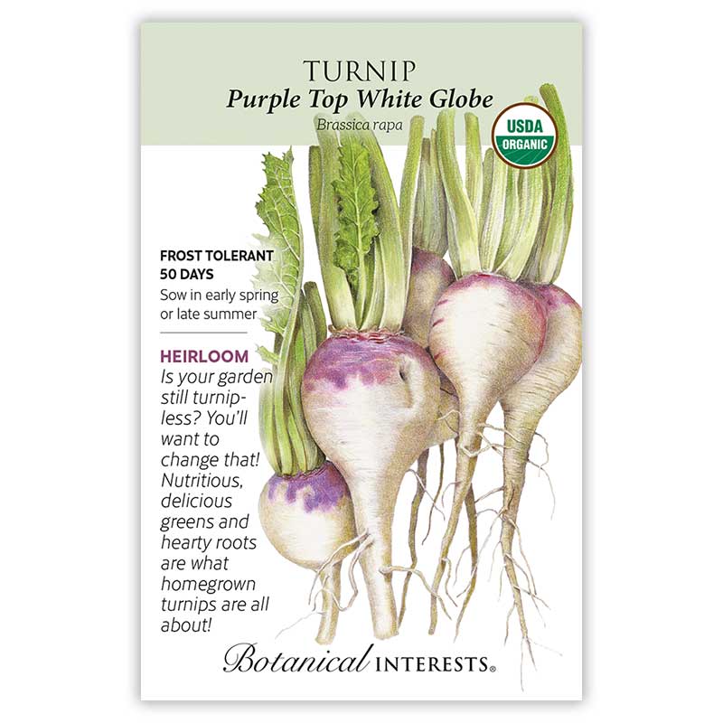 Purple Top White Globe Turnip seed packet with illustrations and botanical information of purple top white globe turnips on a white background