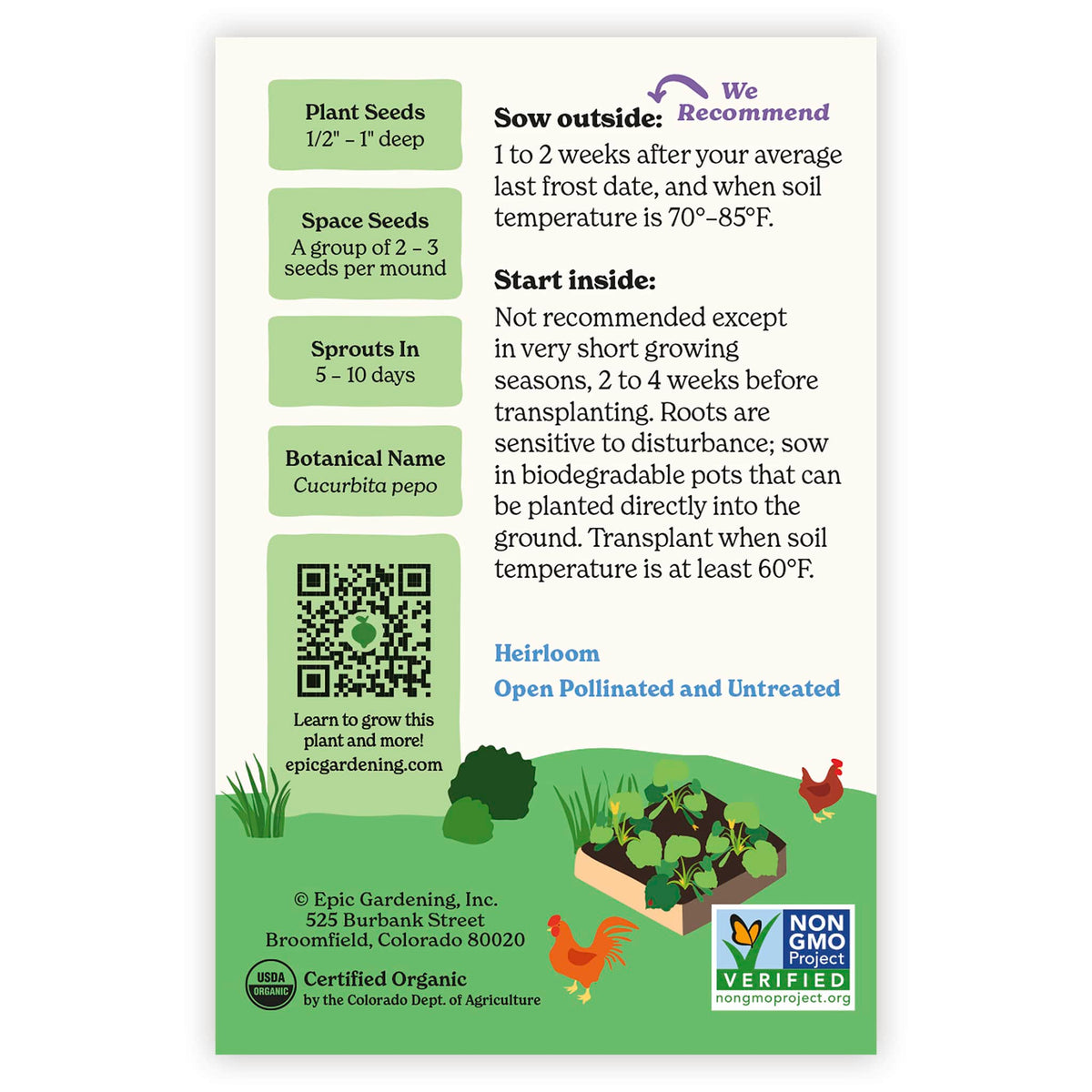 Back of an Epic Gardening Cocozelle Summer Squash seed packet showing planting instructions, sowing guidelines, a QR code, and a garden bed illustration on a plain white background.