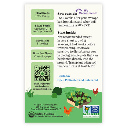 Back of an Epic Gardening Cocozelle Summer Squash seed packet showing planting instructions, sowing guidelines, a QR code, and a garden bed illustration on a plain white background.