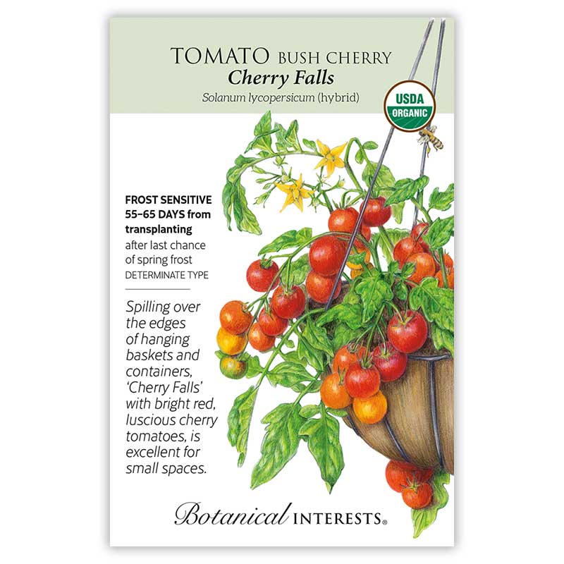 Seed packet for Cherry Falls Bush Cherry Tomato showing an illustrated hanging basket trailing with clusters of bright red and orange cherry tomatoes among green leaves and small yellow flowers, with a USDA Organic seal and text noting it is frost sensitive, determinate, ready in 55–65 days, and ideal for small spaces.