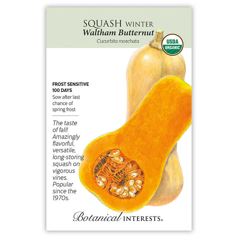 Front of an organic Botanical Interests seed packet for Waltham Butternut Winter Squash Seeds featuring a USDA Organic seal and botanical information and illustration of a whole butternut squash next to a sliced half showing seeds and bright orange flesh.