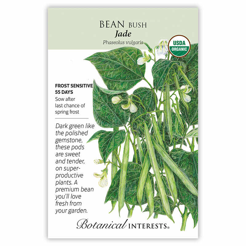 Seed packet for Jade Bush Bean Seeds featuring a USDA Organic seal and botanical illustration of green bean pods, leaves, and white blossoms.