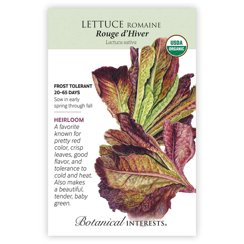 Botanical Interests seed packet for Rouge d'Hiver Romaine Lettuce, featuring a detailed illustration of red-and-green wavy-edged leaves and a USDA Organic seal, with printed text noting it is heirloom, frost tolerant, matures in 20–65 days, and describes its crisp red leaves and good flavor.