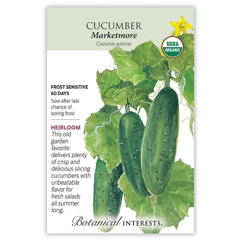 Marketmore Cucumber seed packet with illustrations and botanical information on a white background