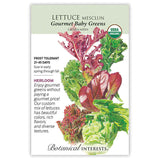 Front of an organic Botanical Interests seed packet for Gourmet Baby Greens Mesclun Lettuce Seeds displaying a USDA Organic seal and a botanical illustration of green and red lettuce leaves in various textures and shapes.