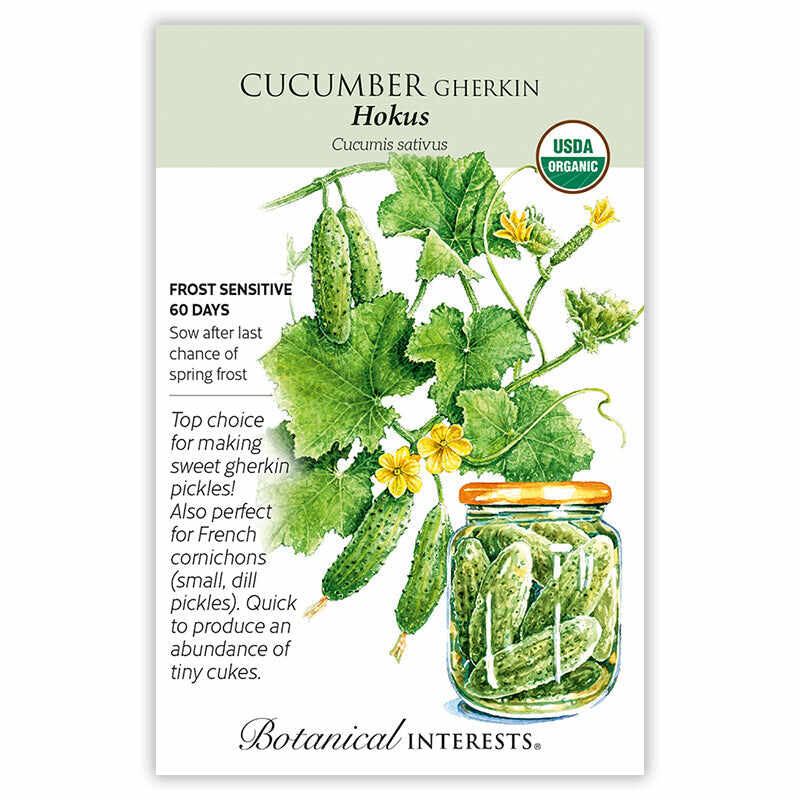 Seed packet for Cucumber Gherkin Hokus with botanical illustration, USDA Organic label, and growing information.