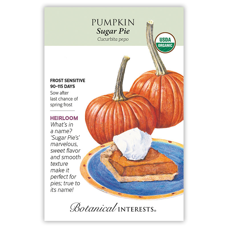 Seed packet for Botanical Interests Heirloom Organic Sugar Pie Pumpkin, illustrated with two ribbed orange pumpkins and a slice of pumpkin pie topped with whipped cream, with text noting it's frost sensitive, matures in 90-115 days, and describes its sweet flavor and smooth texture ideal for pies.