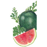 Botanical illustration of a Sugar Baby watermelon showing a whole dark green fruit with lobed vine leaves, alongside a cut wedge revealing red, seeded flesh and pale rind.