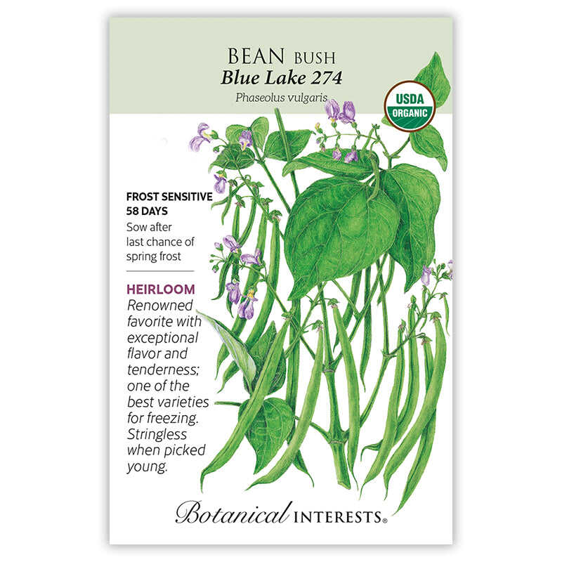 Front of an organic Botanical Interests seed packet for Blue Lake 274 Bush Bean Seeds displaying a USDA Organic seal, heirloom description, and a botanical illustration of green bean vines, hanging pods, and small purple blossoms.