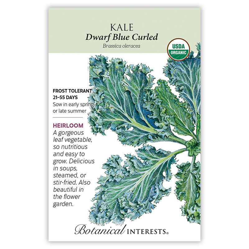 Seed packet for Dwarf Blue Curled Kale featuring a botanical illustration of tightly ruffled, blue-green curly leaves, with USDA Organic seal and text noting it's frost tolerant, heirloom, and ready in 21-55 days.