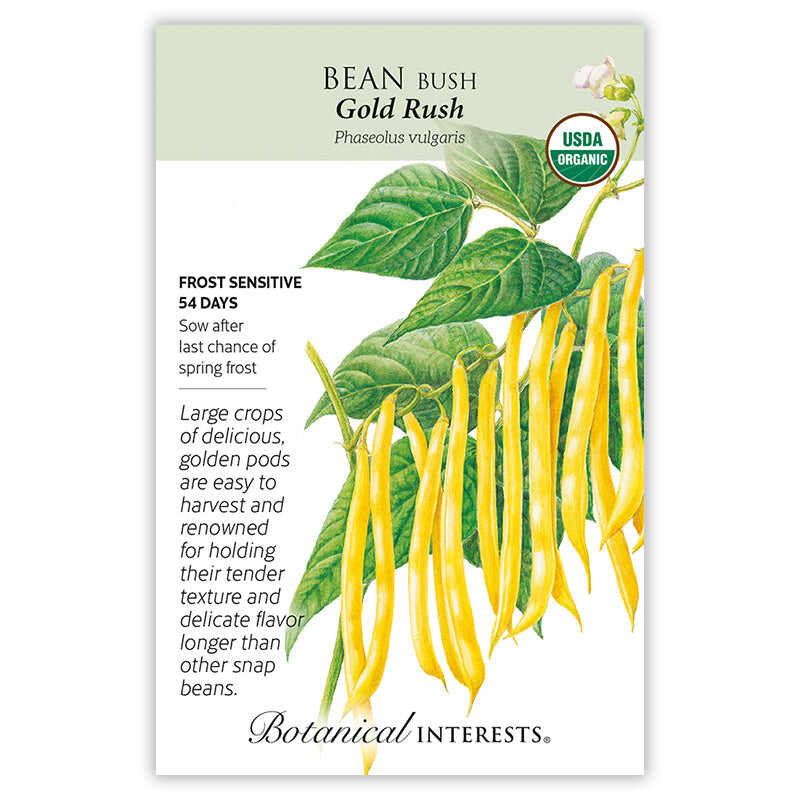 Botanical Interests Bean Bush Gold Rush seed packet featuring a USDA Organic seal, detailed product details and illustration of yellow bean pods and green leaves