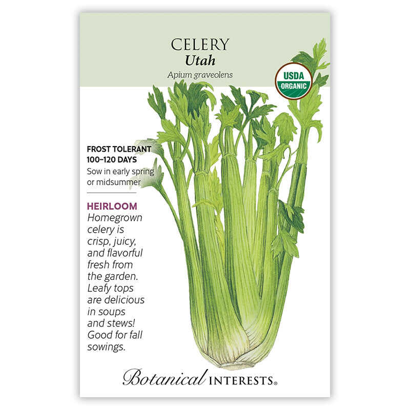Seed packet for Utah heirloom celery with a botanical illustration of a full bunch of pale green stalks and leafy tops, labeled USDA Organic and frost tolerant, with text noting a 100–120 day growing period and describing the crisp, juicy homegrown flavor.