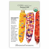 Seed packet for Painted Hill Sweet Corn showing three illustrated ears with multicolored kernels in gold, red, purple, pink, and blue, alongside USDA Organic seal and printed text noting frost sensitivity, 65-80 day maturity, and flavor description.