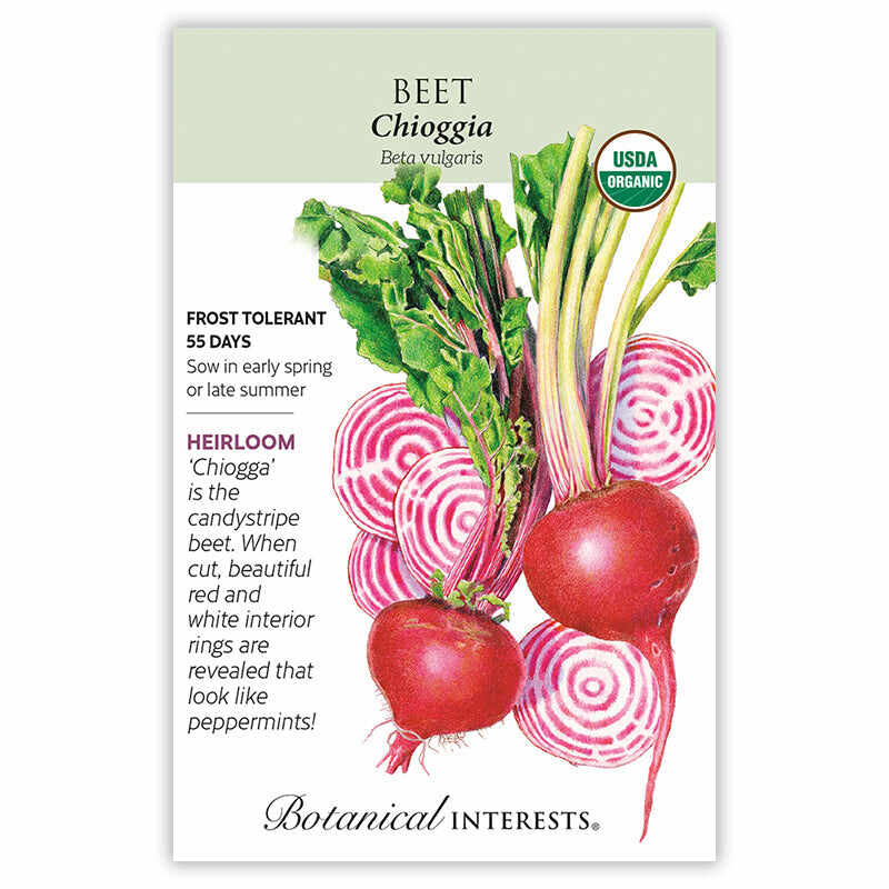 Seed packet for organic heirloom Chioggia Beet illustrating whole red beets with green and pink leafy tops, plus sliced beets showing candystripe red-and-white rings, with text noting frost tolerance, 55-day maturity, and sowing instructions.