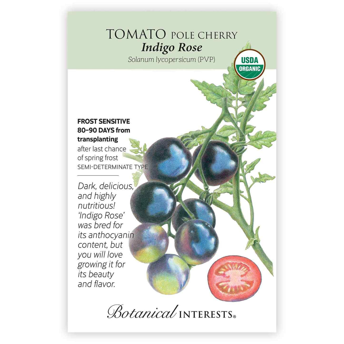 Botanical Interests organic seed packet for Indigo Rose Pole Cherry Tomato, illustrated with a cluster of near-black cherry tomatoes ripening with green and pink blush, a sliced red interior, and text noting frost sensitivity, 80–90 days to harvest, and semi-determinate growth.