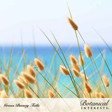 Fuzzy oval seed heads of Bunny Tails grass sway on slender green and golden stems, backlit against a bright turquoise sea and pale sky, with text reading 