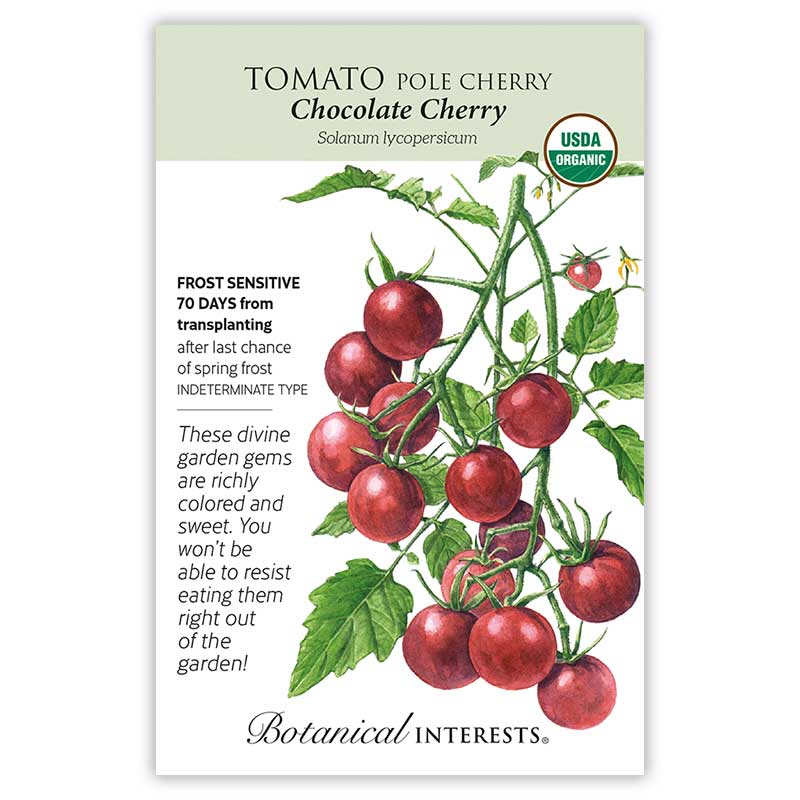 Seed packet for Chocolate Cherry Pole Cherry Tomato, USDA Organic, illustrated with clusters of deep reddish-brown cherry tomatoes on a leafy vine, and text noting it's frost sensitive, 70 days from transplanting, an indeterminate type with richly colored, sweet fruit.