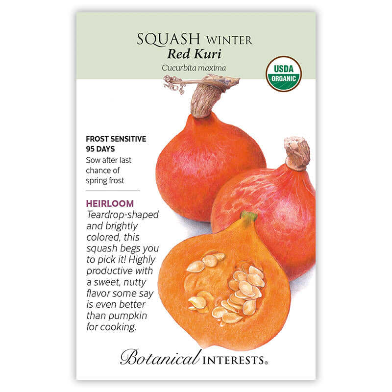Seed packet for Red Kuri Winter Squash showing an illustration of two whole teardrop-shaped, deep orange-red squash with dried stems and a cross-section revealing orange flesh and seeds, with text noting it's an heirloom, USDA organic, frost sensitive, 95 days to maturity.
