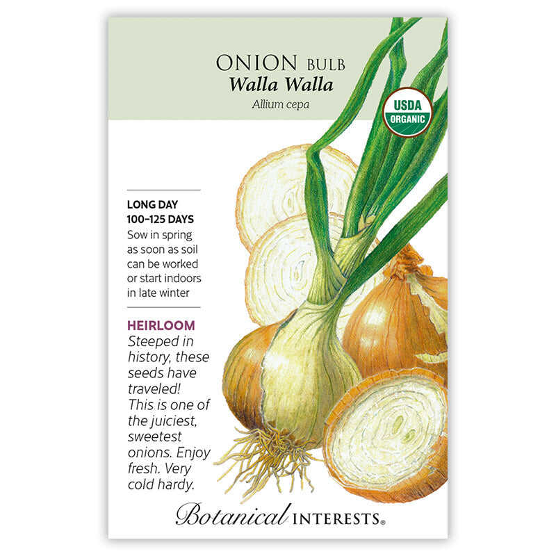 Seed packet for Onion Bulb Walla Walla with botanical illustration and information