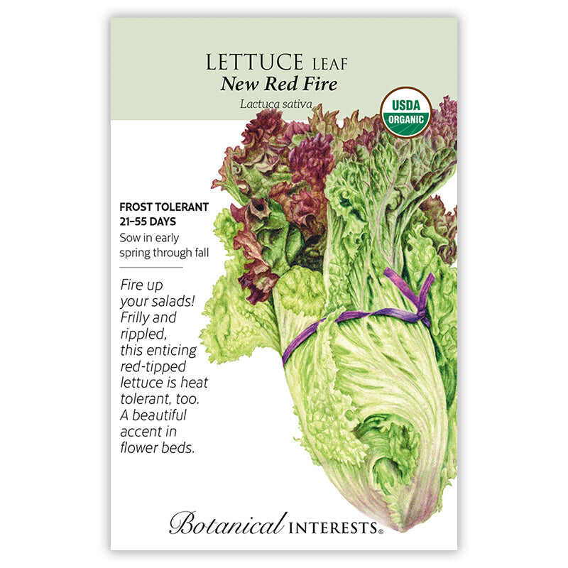 Seed packet for Botanical Interests for New Red Fire Lettuce with illustration and growing information.