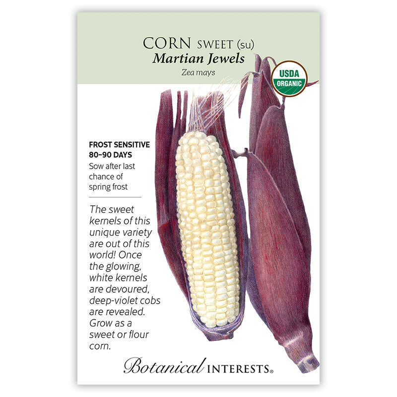 Seed packet for Martian Jewels sweet corn illustrating an ear with deep-violet husks peeled back to reveal pale creamy-white kernels, alongside a closed unpeeled ear, with text noting frost sensitivity, 80-90 day maturity, and USDA Organic certification.