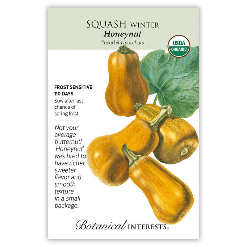 Seed packet for Honeynut Winter Squash featuring an illustration of five small, tan-orange, bell-shaped squash with curved stems and a green leaf, alongside a USDA Organic seal and text noting it's frost sensitive, matures in 110 days, and offers a sweeter, richer flavor than average butternut squash.