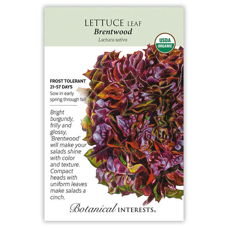 Seed packet for Brentwood Leaf Lettuce showing an illustrated frilly, glossy head of burgundy-red lettuce with green-edged ruffled leaves, plus USDA Organic seal and text noting frost tolerance, 21–57 days to maturity, and sowing instructions from early spring through fall.