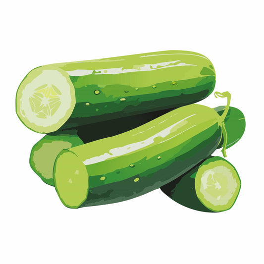 Detailed botanical illustration of slender green Double Yield Cucumbers, including whole cucumbers and sliced sections displaying pale green flesh, isolated on a plain white background.