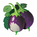 Detailed botanical illustration of plump, scalloped Rosa Bianca Eggplants featuring light pinkish-purple skin with white streaks and green stems, isolated on a plain white background.