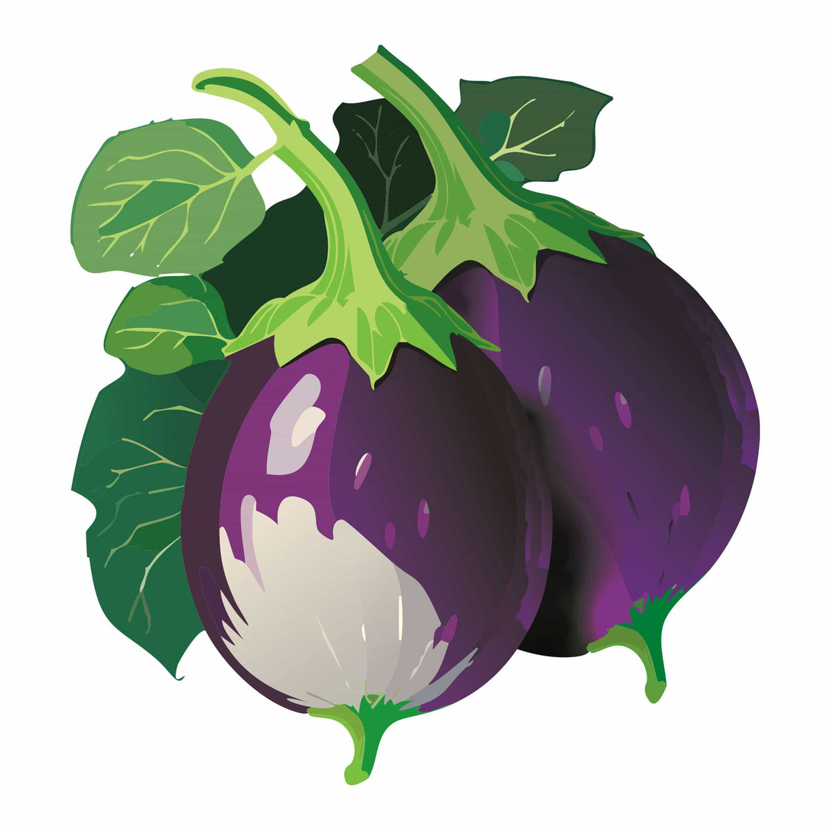 Detailed botanical illustration of plump, scalloped Rosa Bianca Eggplants featuring light pinkish-purple skin with white streaks and green stems, isolated on a plain white background.