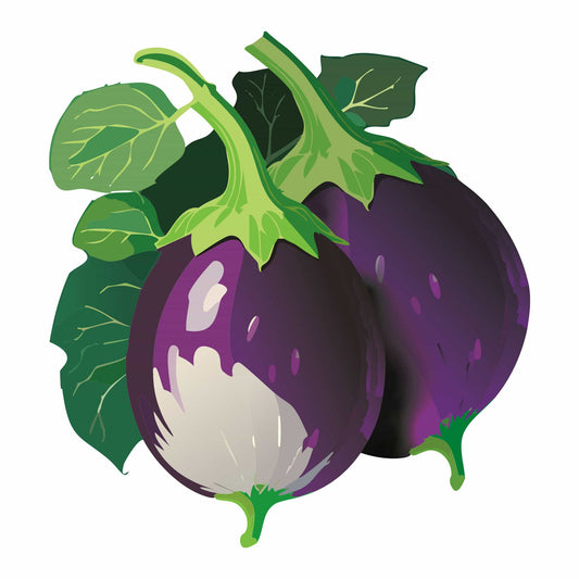 Detailed botanical illustration of plump, scalloped Rosa Bianca Eggplants featuring light pinkish-purple skin with white streaks and green stems, isolated on a plain white background.
