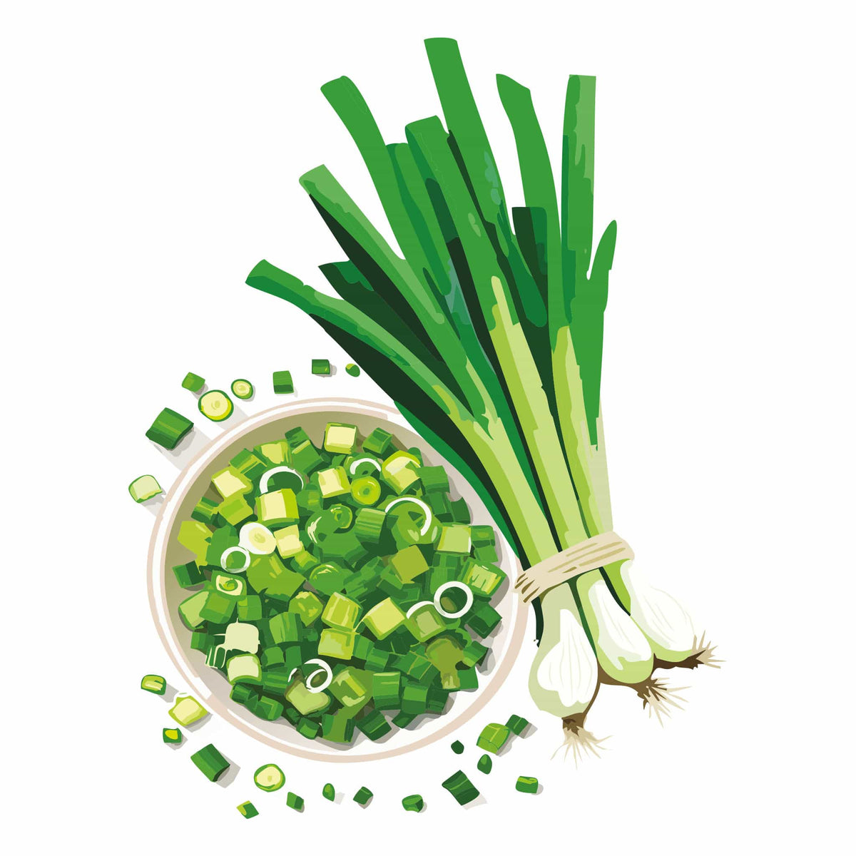 Detailed botanical illustration of a bunch of upright Warrior Bunching Onions alongside a bowl filled with chopped green onions, isolated on a plain white background.