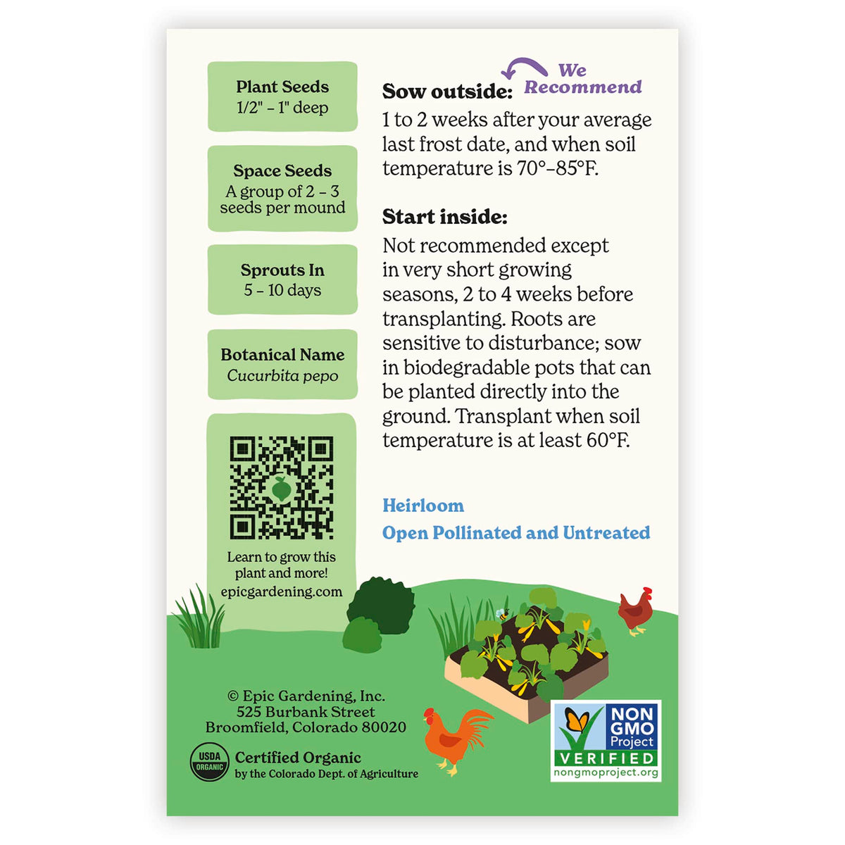 Back of an Epic Gardening USDA Organic Golden Zucchini Summer Squash seed packet showing planting instructions, sowing guidelines, a QR code, and a garden bed illustration on a plain white background.
