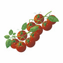 Detailed botanical illustration of clusters of bright red Chadwick Cherry Pole Cherry Tomatoes hanging on leafy vines, isolated on a plain white background.