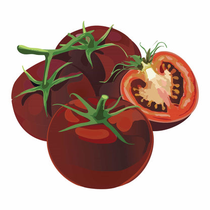 Detailed botanical illustration of dark purplish-brown Carbon Pole Tomatoes on green stems, with one tomato sliced open to show its rich interior, isolated on a plain white background.