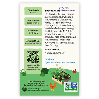 Back of an Epic Gardening USDA Organic Blue Lake FM-1K Pole Bean seed packet showing planting instructions, sowing guidelines, a QR code, and a garden bed illustration on a plain white background.