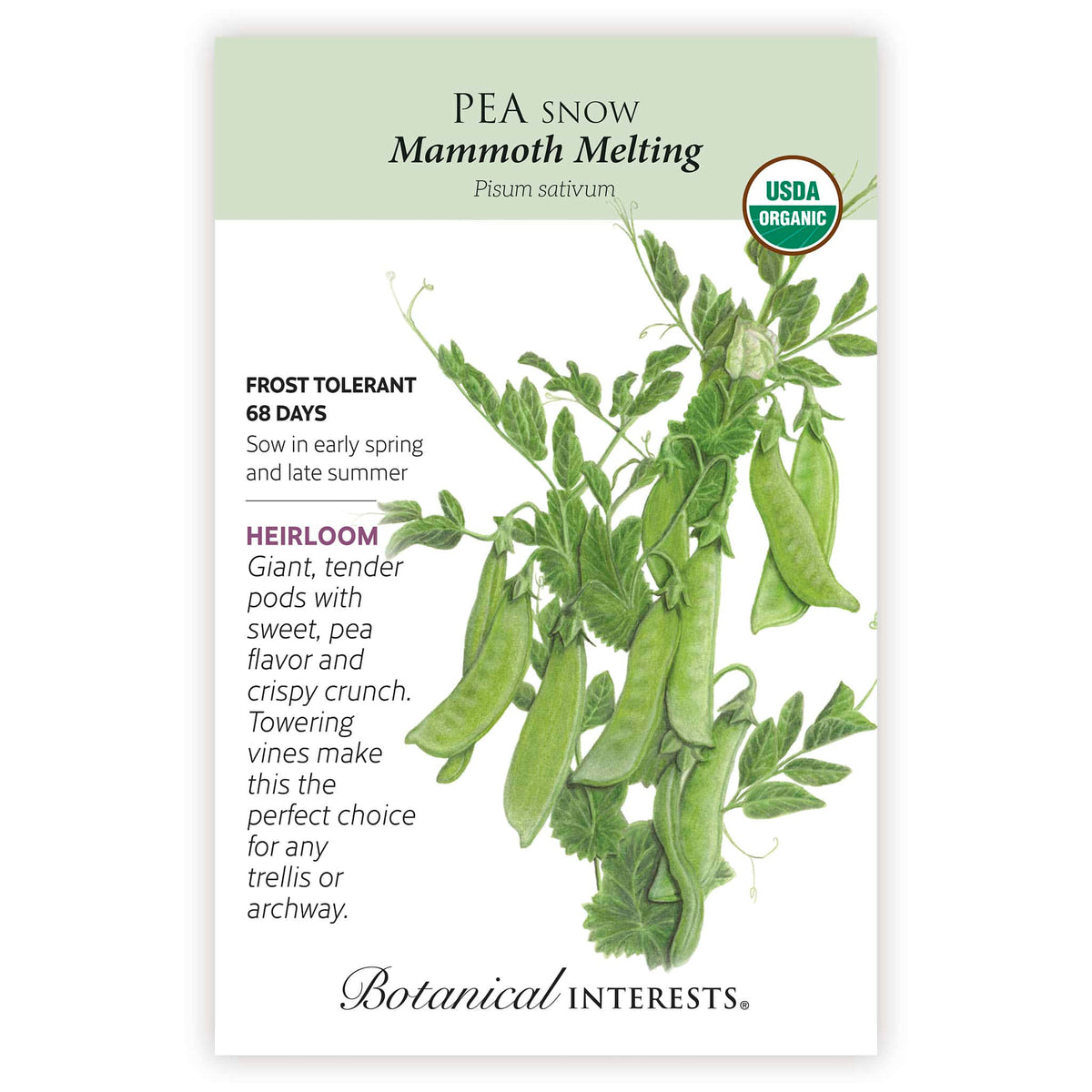 Mammoth Melting Snow Pea seed packet with botanical information and USDA Organic badge and illustration of the peas.