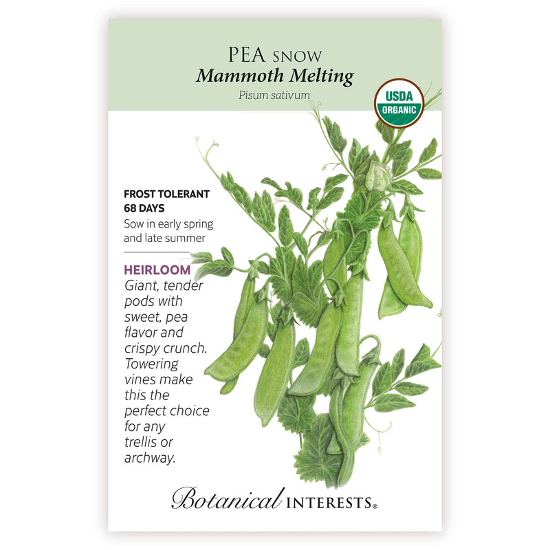 Mammoth Melting Snow Pea seed packet with botanical information and USDA Organic badge and illustration of the peas.