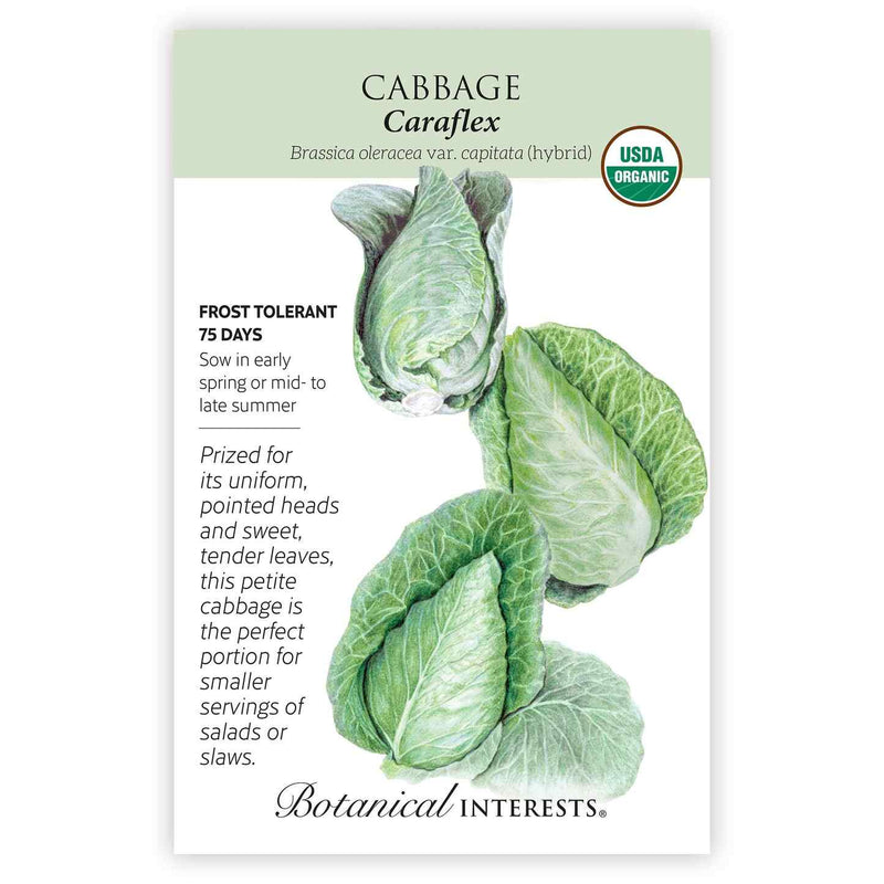 Seed packet for Caraflex organic cabbage featuring an illustration of pale green, pointed cabbage heads with loose outer leaves, alongside text noting frost tolerance, a 75-day maturity, and a description praising its uniform heads and sweet, tender leaves for smaller servings.