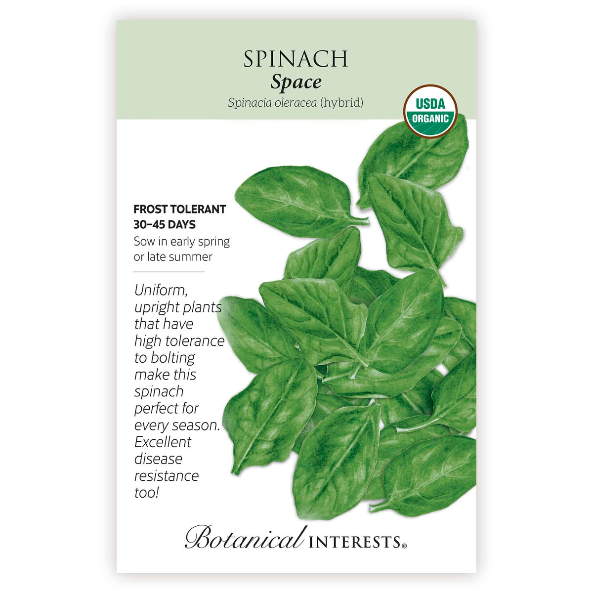 Seed packet of Space Spinach with botanical information and the illustration of its leaves and USDA Organic badge 